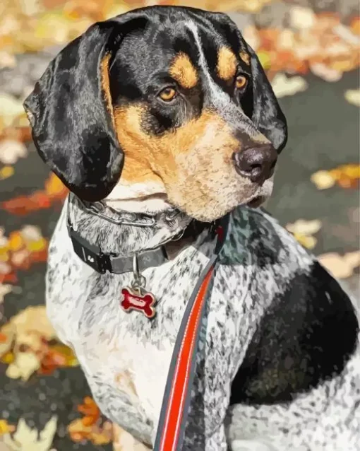 Bluetick Coonhound Diamond Painting