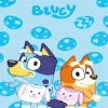 Bluey And Bingo Diamond Painting
