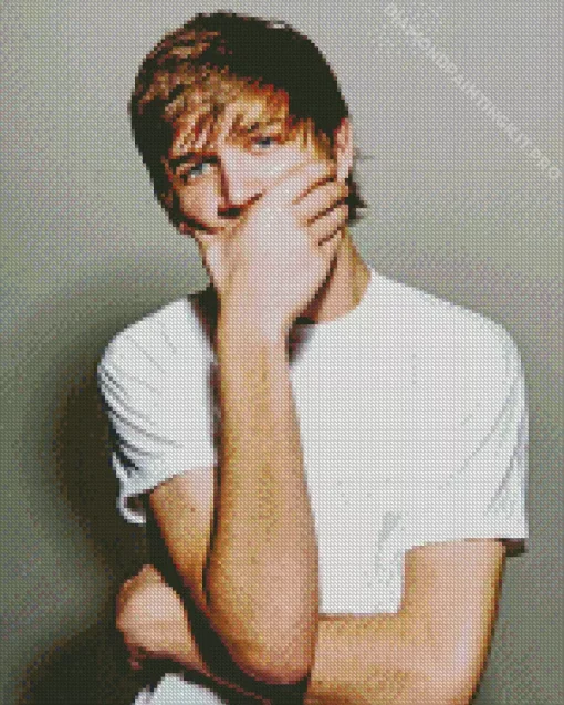 Bo Burnham Comedian Diamond Painting