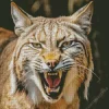 Bobcat Face Diamond Painting