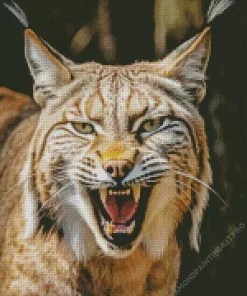 Bobcat Face Diamond Painting