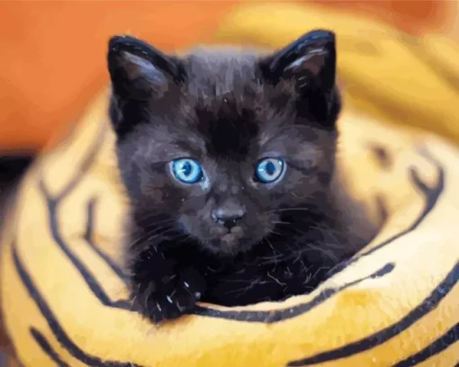 Bombay Cat With Blue Eyes Diamond Painting