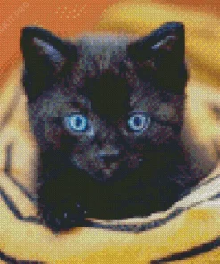 Bombay Cat With Blue Eyes Diamond Painting