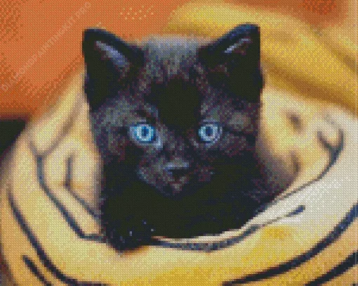 Bombay Cat With Blue Eyes Diamond Painting