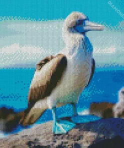 Booby Bird Diamond Painting
