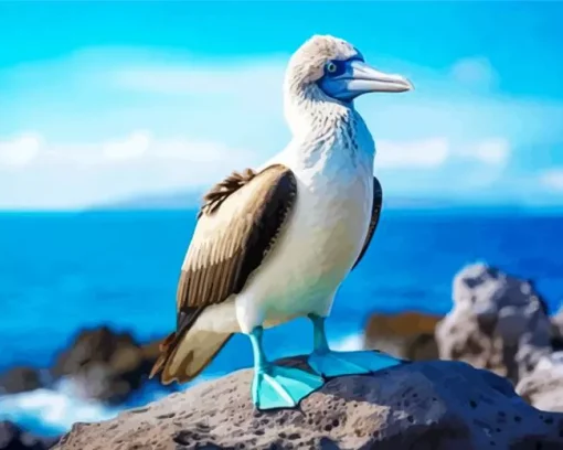 Booby Bird Diamond Painting