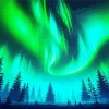 Borealis Trees Silhouette Diamond Painting