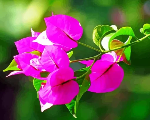 Bougainvillea Branch Diamond Painting
