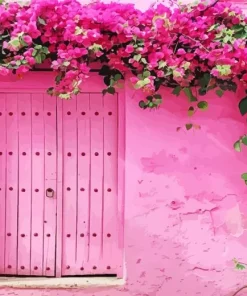 Bougainvillea Front Door Diamond Painting