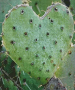 Cactus Heart Diamond Painting
