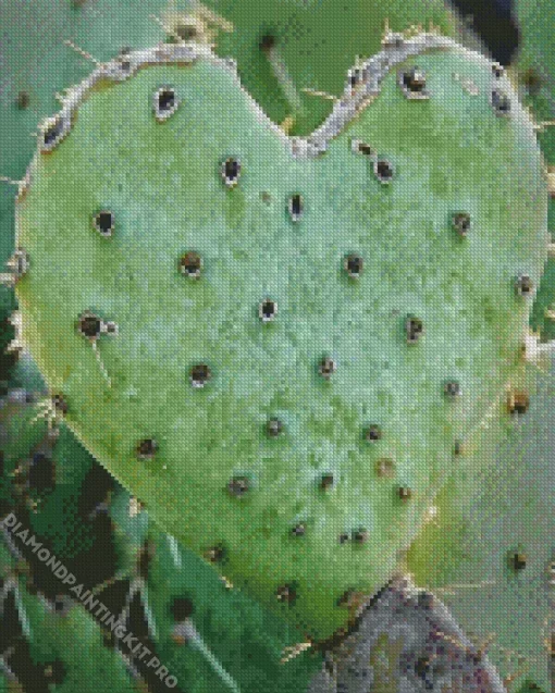Cactus Heart Diamond Painting