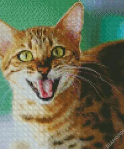 Cat Smiling Diamond Painting