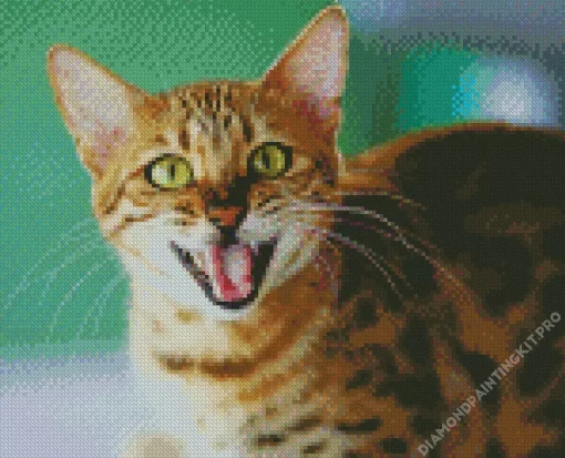 Cat Smiling Diamond Painting
