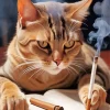 Cat Smoking Cigarette Diamond Painting