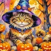 Cat Witch And Pumpkins Diamond Painting