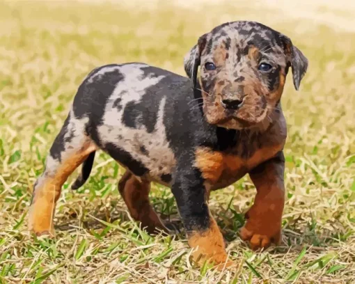 Catahoula Leopard Dog Diamond Painting