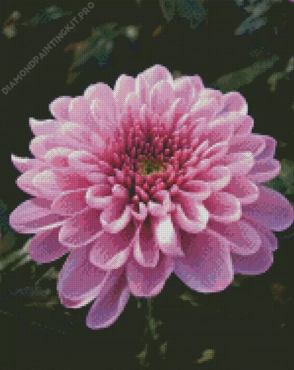 chrysanthemum flower Diamond By Numbers Chrysanthemum Flower Diamond Painting