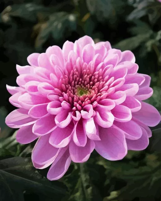 chrysanthemum flower Diamond Paintings Chrysanthemum Flower Diamond Painting