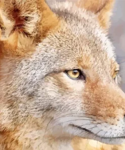 Coyote Face Diamond Painting