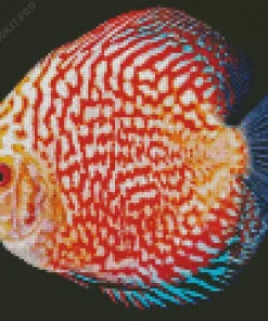Discus Fish Red Diamond Painting