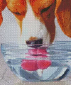 Dog Drinking Water Diamond Painting