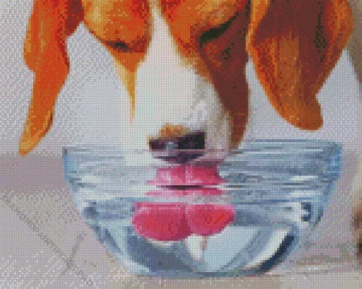 Dog Drinking Water Diamond Painting