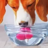 Dog Drinking Water Diamond Painting