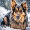 Dog In Snow Diamond Painting