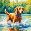 Dog Swimming Art Diamond Painting