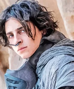 Dune Timothee Chalamet Diamond Painting
