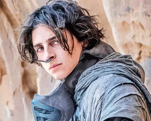 Dune Timothee Chalamet Diamond Painting