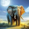 Elephant Moon Art Diamond Painting