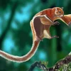 Flying Squirrel Diamond Painting
