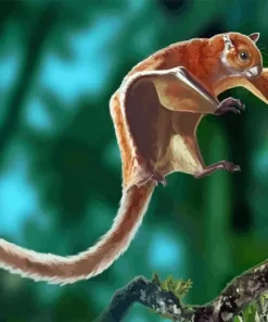Flying Squirrel Diamond Painting