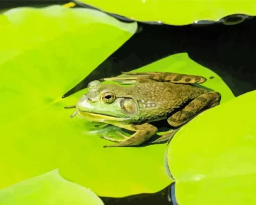 Frog And Lily Pad Diamond Painting