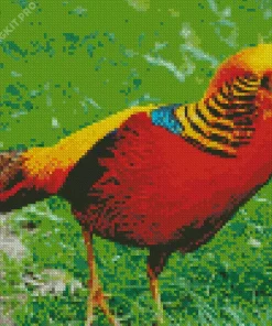 Golden Pheasant Diamond Painting