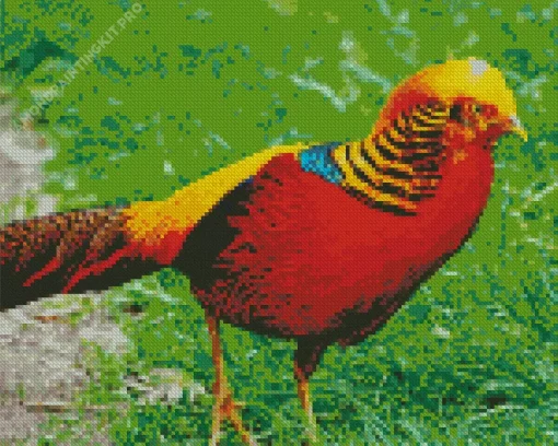 Golden Pheasant Diamond Painting