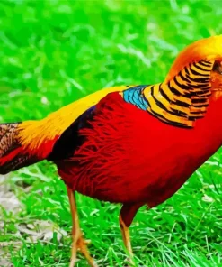 Golden Pheasant Diamond Painting