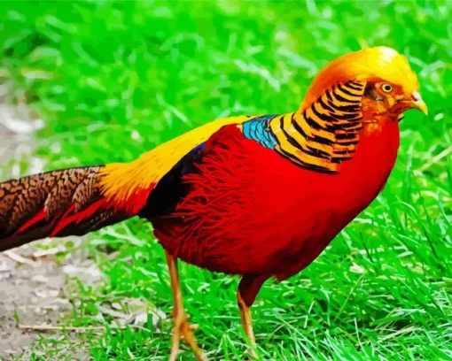 Golden Pheasant Diamond Painting