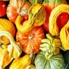 Gourd Flowering Plant Diamond Painting