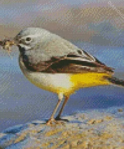 Grey And Yellow Bird Diamond Painting