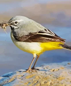 Grey And Yellow Bird Diamond Painting