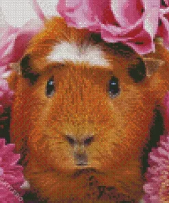 Guinea Pig Flower Diamond Painting
