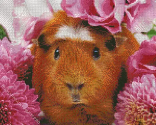 Guinea Pig Flower Diamond Painting