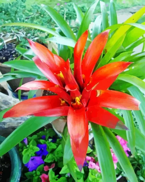 Guzmania Bromeliad Diamond Painting