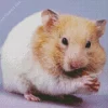 Hamster Eating Diamond Painting