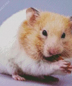 Hamster Eating Diamond Painting