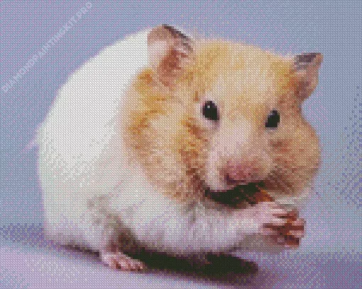 Hamster Eating Diamond Painting