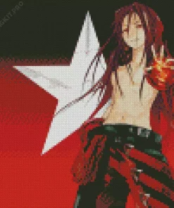Hao Asakura Diamond Painting