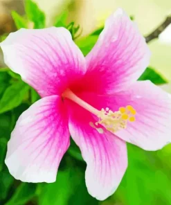 Hawaiian Flower Diamond Painting